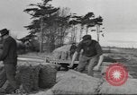Standbild Neuseeland Lebensmittel für die amerikanischen Soldaten Neuseeland, 1945, aus Sekunde 10 historischem Filmmaterial Videoclip 65675057553