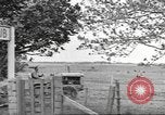 Standbild Neuseeland Lebensmittel für die amerikanischen Soldaten Neuseeland, 1945, aus Sekunde 19 historischem Filmmaterial Videoclip 65675057553