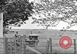 Standbild Neuseeland Lebensmittel für die amerikanischen Soldaten Neuseeland, 1945, aus Sekunde 20 historischem Filmmaterial Videoclip 65675057553