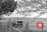 Standbild Neuseeland Lebensmittel für die amerikanischen Soldaten Neuseeland, 1945, aus Sekunde 21 historischem Filmmaterial Videoclip 65675057553