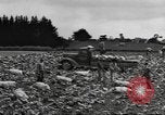 Standbild Neuseeland Lebensmittel für die amerikanischen Soldaten Neuseeland, 1945, aus Sekunde 30 historischem Filmmaterial Videoclip 65675057553