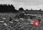 Standbild Neuseeland Lebensmittel für die amerikanischen Soldaten Neuseeland, 1945, aus Sekunde 31 historischem Filmmaterial Videoclip 65675057553