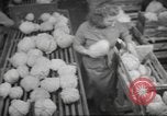 Standbild Neuseeland Lebensmittel für die amerikanischen Soldaten Neuseeland, 1945, aus Sekunde 37 historischem Filmmaterial Videoclip 65675057553