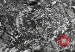 Standbild Neuseeland Lebensmittel für die amerikanischen Soldaten Neuseeland, 1945, aus Sekunde 44 historischem Filmmaterial Videoclip 65675057553