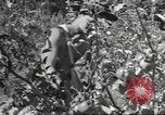 Standbild Neuseeland Lebensmittel für die amerikanischen Soldaten Neuseeland, 1945, aus Sekunde 46 historischem Filmmaterial Videoclip 65675057553