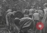 Immagine di Quartermaster Corps Sud Pacifico, 1945, secondo 7 filmato di repertorio 65675057554
