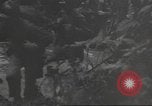 Immagine di Quartermaster Corps Sud Pacifico, 1945, secondo 10 filmato di repertorio 65675057554