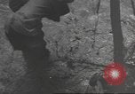 Immagine di Quartermaster Corps Sud Pacifico, 1945, secondo 15 filmato di repertorio 65675057554