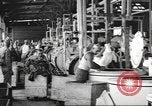 Immagine di Quartermaster Corps Sud Pacifico, 1945, secondo 39 filmato di repertorio 65675057554