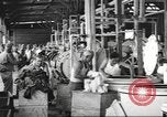 Immagine di Quartermaster Corps Sud Pacifico, 1945, secondo 41 filmato di repertorio 65675057554