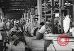 Immagine di Quartermaster Corps Sud Pacifico, 1945, secondo 42 filmato di repertorio 65675057554
