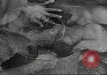 Standbild Quartiermeister Korps Pacific Theater, 1945, aus Sekunde 1 historischem Filmmaterial Videoclip 65675057555