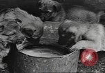 Standbild Quartiermeister Korps Pacific Theater, 1945, aus Sekunde 3 historischem Filmmaterial Videoclip 65675057555