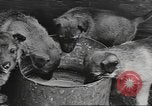 Standbild Quartiermeister Korps Pacific Theater, 1945, aus Sekunde 4 historischem Filmmaterial Videoclip 65675057555