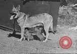 Standbild Quartiermeister Korps Pacific Theater, 1945, aus Sekunde 6 historischem Filmmaterial Videoclip 65675057555