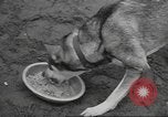 Standbild Quartiermeister Korps Pacific Theater, 1945, aus Sekunde 11 historischem Filmmaterial Videoclip 65675057555