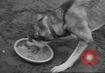 Standbild Quartiermeister Korps Pacific Theater, 1945, aus Sekunde 12 historischem Filmmaterial Videoclip 65675057555