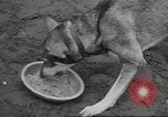 Standbild Quartiermeister Korps Pacific Theater, 1945, aus Sekunde 13 historischem Filmmaterial Videoclip 65675057555
