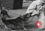 Standbild Quartiermeister Korps Pacific Theater, 1945, aus Sekunde 18 historischem Filmmaterial Videoclip 65675057555