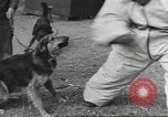 Standbild Quartiermeister Korps Pacific Theater, 1945, aus Sekunde 21 historischem Filmmaterial Videoclip 65675057555