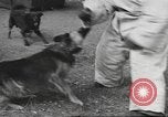 Standbild Quartiermeister Korps Pacific Theater, 1945, aus Sekunde 22 historischem Filmmaterial Videoclip 65675057555