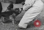 Standbild Quartiermeister Korps Pacific Theater, 1945, aus Sekunde 23 historischem Filmmaterial Videoclip 65675057555