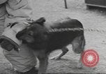 Standbild Quartiermeister Korps Pacific Theater, 1945, aus Sekunde 24 historischem Filmmaterial Videoclip 65675057555