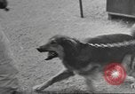 Standbild Quartiermeister Korps Pacific Theater, 1945, aus Sekunde 25 historischem Filmmaterial Videoclip 65675057555