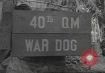 Standbild Quartiermeister Korps Pacific Theater, 1945, aus Sekunde 26 historischem Filmmaterial Videoclip 65675057555