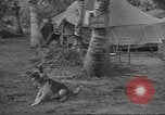 Standbild Quartiermeister Korps Pacific Theater, 1945, aus Sekunde 29 historischem Filmmaterial Videoclip 65675057555