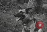 Standbild Quartiermeister Korps Pacific Theater, 1945, aus Sekunde 30 historischem Filmmaterial Videoclip 65675057555