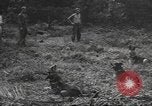 Standbild Quartiermeister Korps Pacific Theater, 1945, aus Sekunde 31 historischem Filmmaterial Videoclip 65675057555
