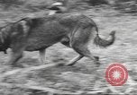 Standbild Quartiermeister Korps Pacific Theater, 1945, aus Sekunde 38 historischem Filmmaterial Videoclip 65675057555