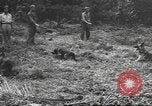 Standbild Quartiermeister Korps Pacific Theater, 1945, aus Sekunde 39 historischem Filmmaterial Videoclip 65675057555
