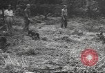 Standbild Quartiermeister Korps Pacific Theater, 1945, aus Sekunde 40 historischem Filmmaterial Videoclip 65675057555