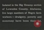 Image Calhoun school Lowndes County Alabama USA, 1940, de la seconde 33 séquences d'archives historiques vidéo 65675057561