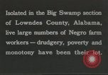 Image Calhoun school Lowndes County Alabama USA, 1940, de la seconde 48 séquences d'archives historiques vidéo 65675057561