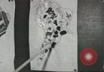 Immagine di Calhoun colorato scuola Lowndes County Alabama USA, 1940, secondo 53 filmato di repertorio 65675057562