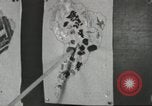 Immagine di Calhoun colorato scuola Lowndes County Alabama USA, 1940, secondo 56 filmato di repertorio 65675057562
