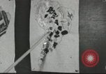 Immagine di Calhoun colorato scuola Lowndes County Alabama USA, 1940, secondo 57 filmato di repertorio 65675057562