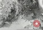 Immagine di Calhoun colorato scuola Lowndes County Alabama USA, 1940, secondo 19 filmato di repertorio 65675057563