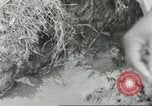 Immagine di Calhoun colorato scuola Lowndes County Alabama USA, 1940, secondo 21 filmato di repertorio 65675057563