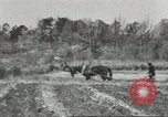 Standbild Lowndes County Lowndes County Alabama USA, 1940, aus Sekunde 59 historischem Filmmaterial Videoclip 65675057564