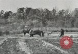 Standbild Lowndes County Lowndes County Alabama USA, 1940, aus Sekunde 60 historischem Filmmaterial Videoclip 65675057564