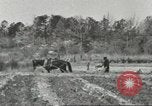 Standbild Lowndes County Lowndes County Alabama USA, 1940, aus Sekunde 61 historischem Filmmaterial Videoclip 65675057564