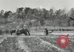 Standbild Lowndes County Lowndes County Alabama USA, 1940, aus Sekunde 62 historischem Filmmaterial Videoclip 65675057564