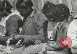 Image Calhoun school Lowndes County Alabama USA, 1940, de la seconde 42 séquences d'archives historiques vidéo 65675057565