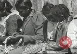 Image Calhoun school Lowndes County Alabama USA, 1940, de la seconde 43 séquences d'archives historiques vidéo 65675057565