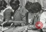Image Calhoun school Lowndes County Alabama USA, 1940, de la seconde 44 séquences d'archives historiques vidéo 65675057565