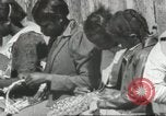 Image Calhoun school Lowndes County Alabama USA, 1940, de la seconde 45 séquences d'archives historiques vidéo 65675057565